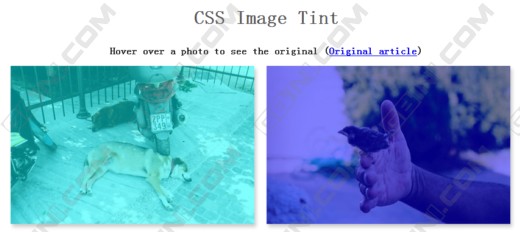 Image Tint With CSS